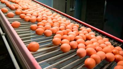 majority-of-malaysian-hospitality-groups-pledge-to-use-only-cage-free-eggs:-report
