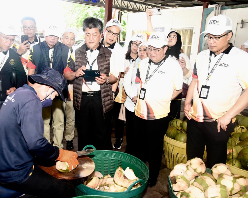 thai-farmer-eyes-sarawak-to-plant-aromatic-coconuts-for-global-market