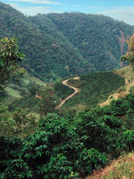 six-destinations-for-coffee-escapades